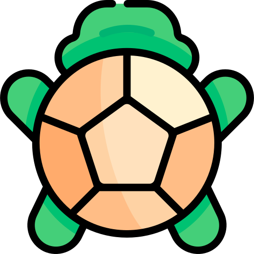 Turtle Kawaii Lineal color icon