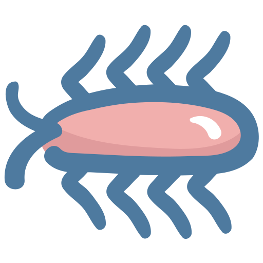 Cockroach Generic Hand Drawn Color icon