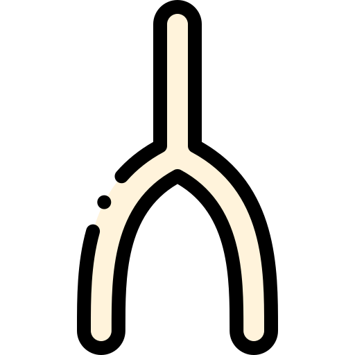 Wishbone Detailed Rounded Lineal color icon