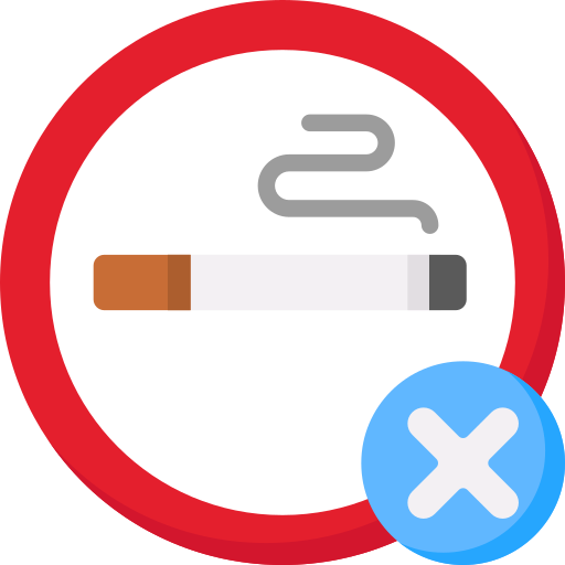 Non smoking area Special Flat icon