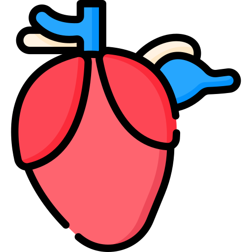 心臓 Special Lineal color icon