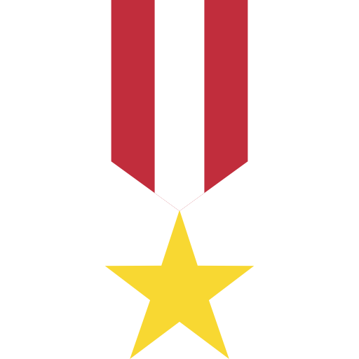 medal Basic Miscellany Flat ikona
