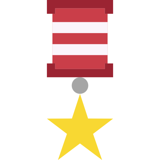 medaglia Basic Miscellany Flat icona