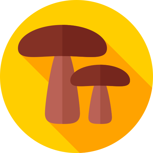 fungo Flat Circular Flat icona