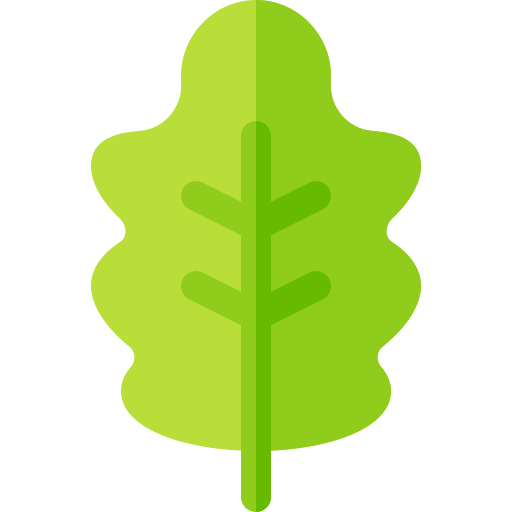 참나무 잎 Basic Rounded Flat icon