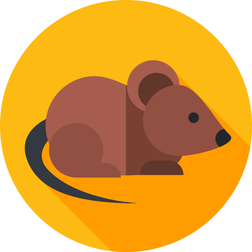 Mouse Flat Circular Flat icon
