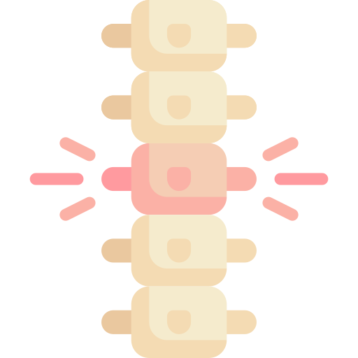 coluna vertebral Special Flat Ícone