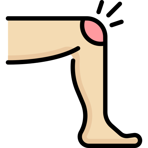 膝 Special Lineal color icon