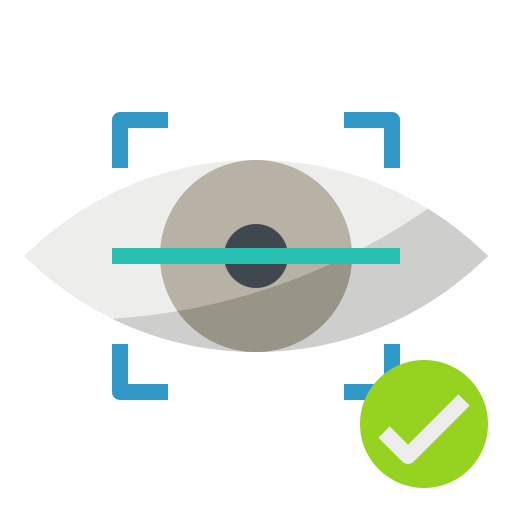 Eye recognition mynamepong Flat icon
