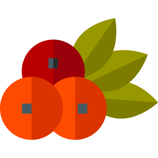 cranberry Basic Straight Flat icon