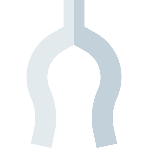 wishbone Basic Straight Flat icon