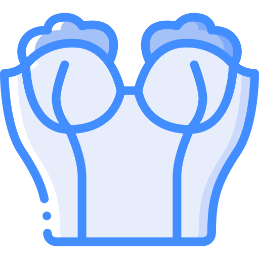 코르셋 Basic Miscellany Blue icon
