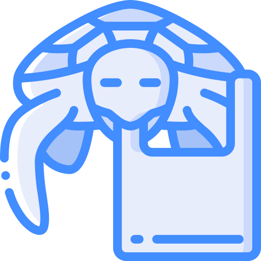 tortuga Basic Miscellany Blue icono