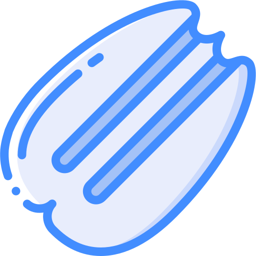 noix de pécan Basic Miscellany Blue Icône