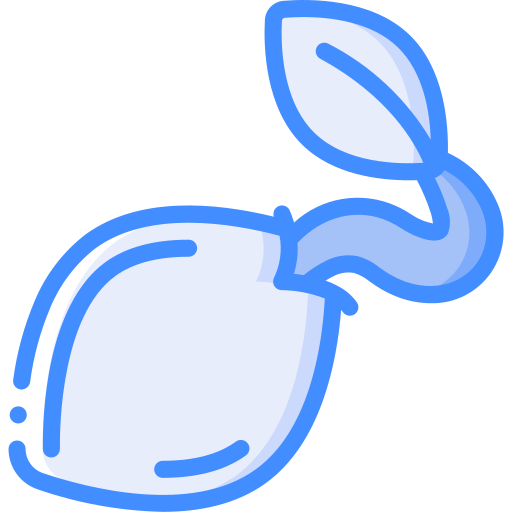 zaad Basic Miscellany Blue icoon