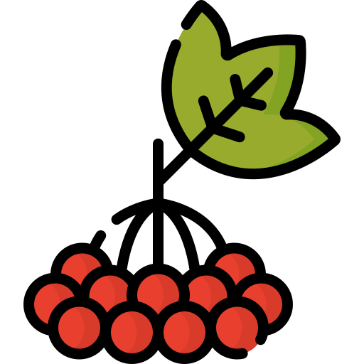 fruta viburnum Special Lineal color icono