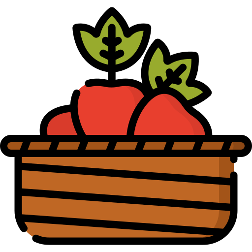 fruta Special Lineal color icono