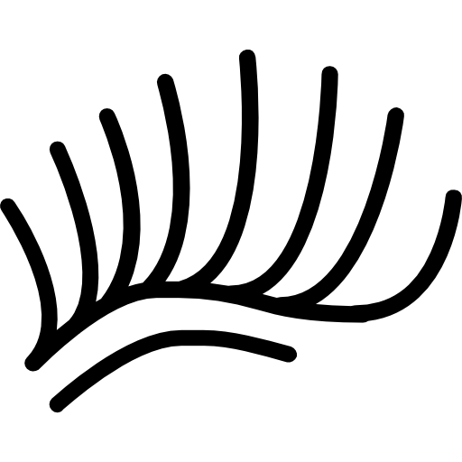 ciglia Basic Miscellany Lineal icona