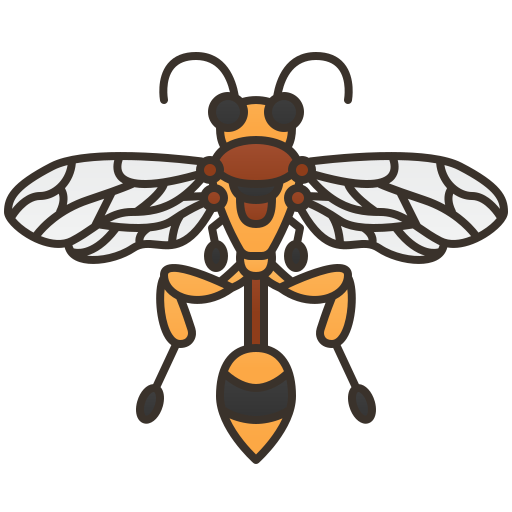 Hymenoptera Amethys Design Lineal Color icon