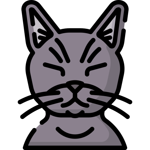 katze Special Lineal color icon