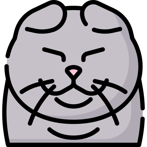 Cat Special Lineal color icon