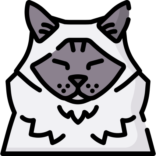猫 Special Lineal color icon