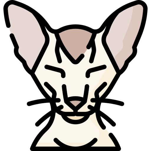gatto Special Lineal color icona