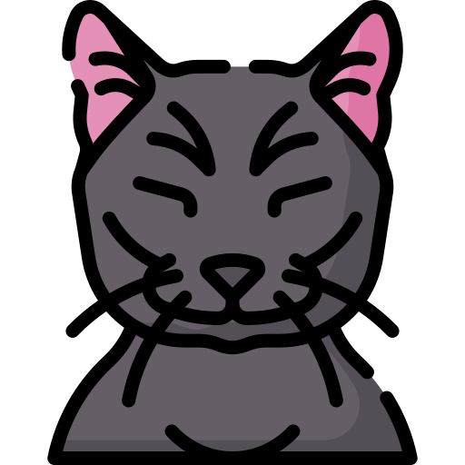 Кошка Special Lineal color иконка