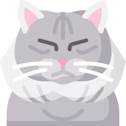 Cat Special Flat icon