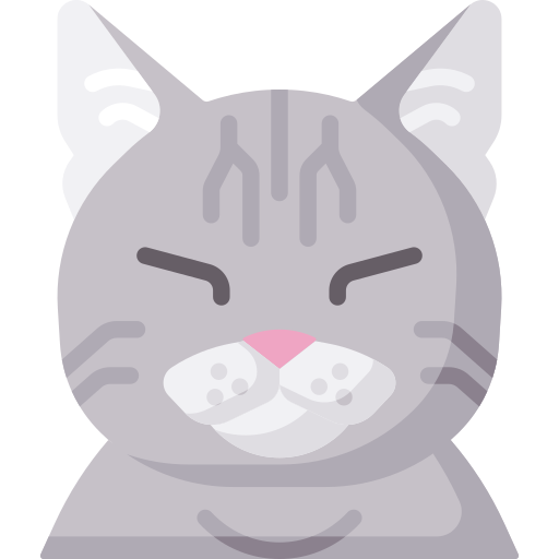 gatto Special Flat icona