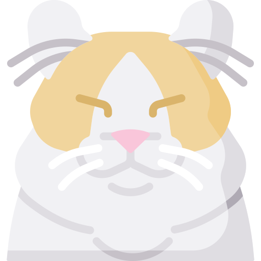 Кошка Special Flat иконка