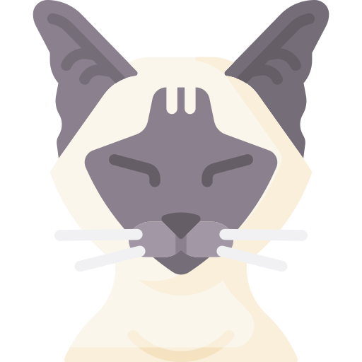 gato Special Flat icono
