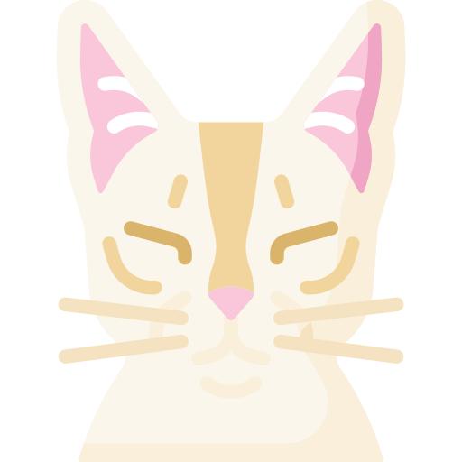 gato Special Flat icono