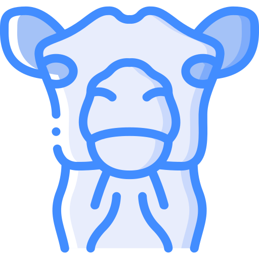 Camello Basic Miscellany Blue icono