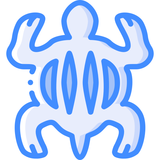 tartaruga Basic Miscellany Blue Ícone
