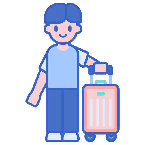 passagier Flaticons Lineal Color icoon