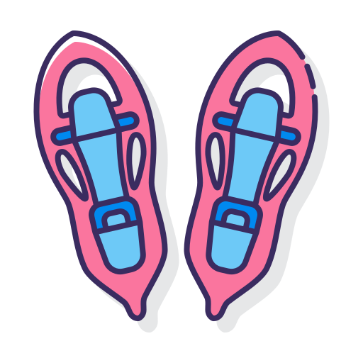scarpe da neve Flaticons Lineal Color icona