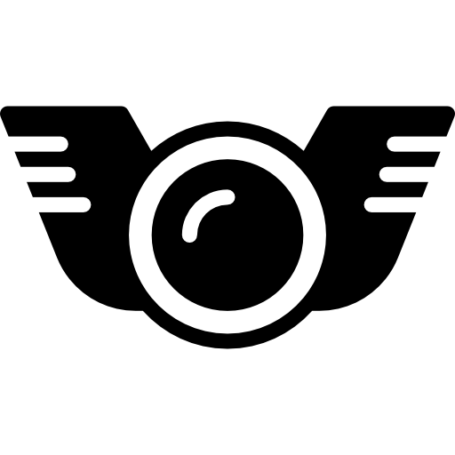 insignia Basic Miscellany Fill icono