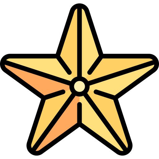 별 Special Lineal color icon