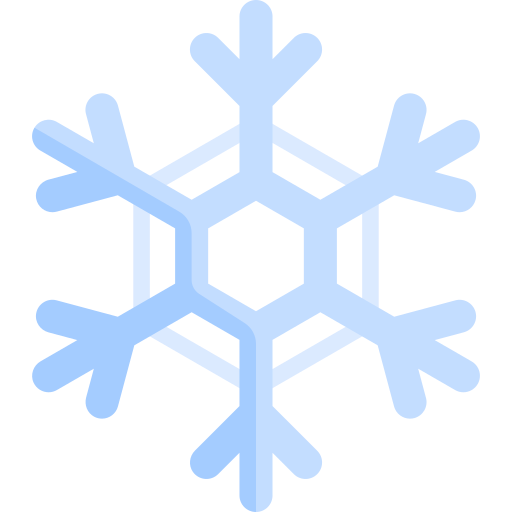 Copo de nieve Special Flat icono