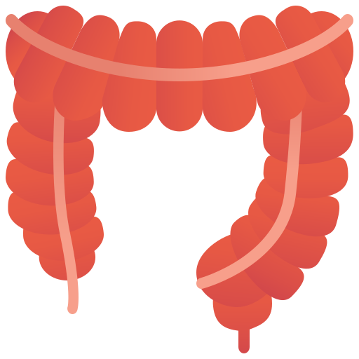 Large intestine Amethys Design Flat icon