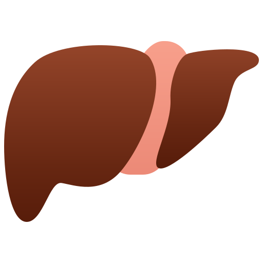 肝臓 Amethys Design Flat icon