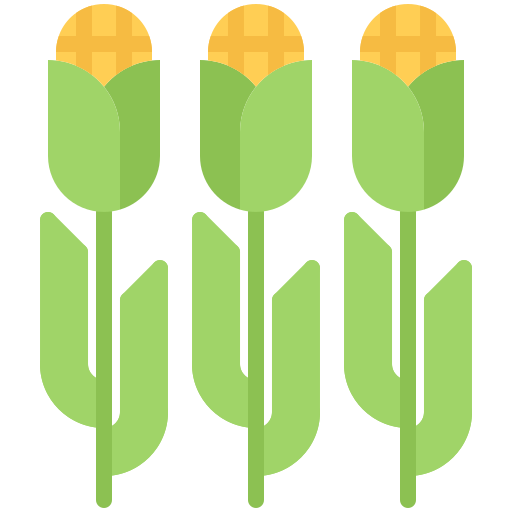 maïs Coloring Flat icoon
