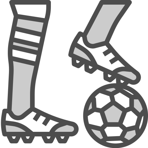 fußballschuhe Winnievizence Grey icon