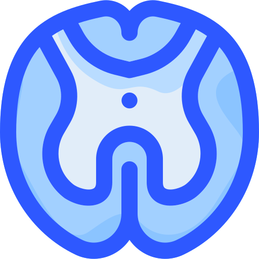 Spinal cord Vitaliy Gorbachev Blue icon