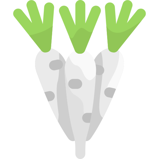 Radish Vitaliy Gorbachev Flat icon