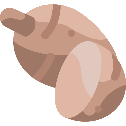 süßkartoffel Vitaliy Gorbachev Flat icon