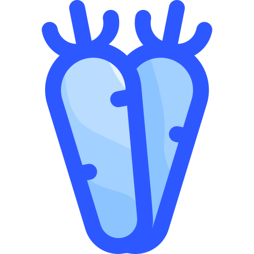 Морковь Vitaliy Gorbachev Blue иконка