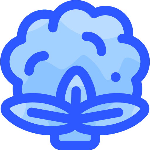 couve-flor Vitaliy Gorbachev Blue Ícone