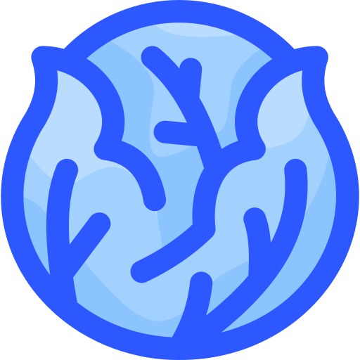 キャベツ Vitaliy Gorbachev Blue icon
